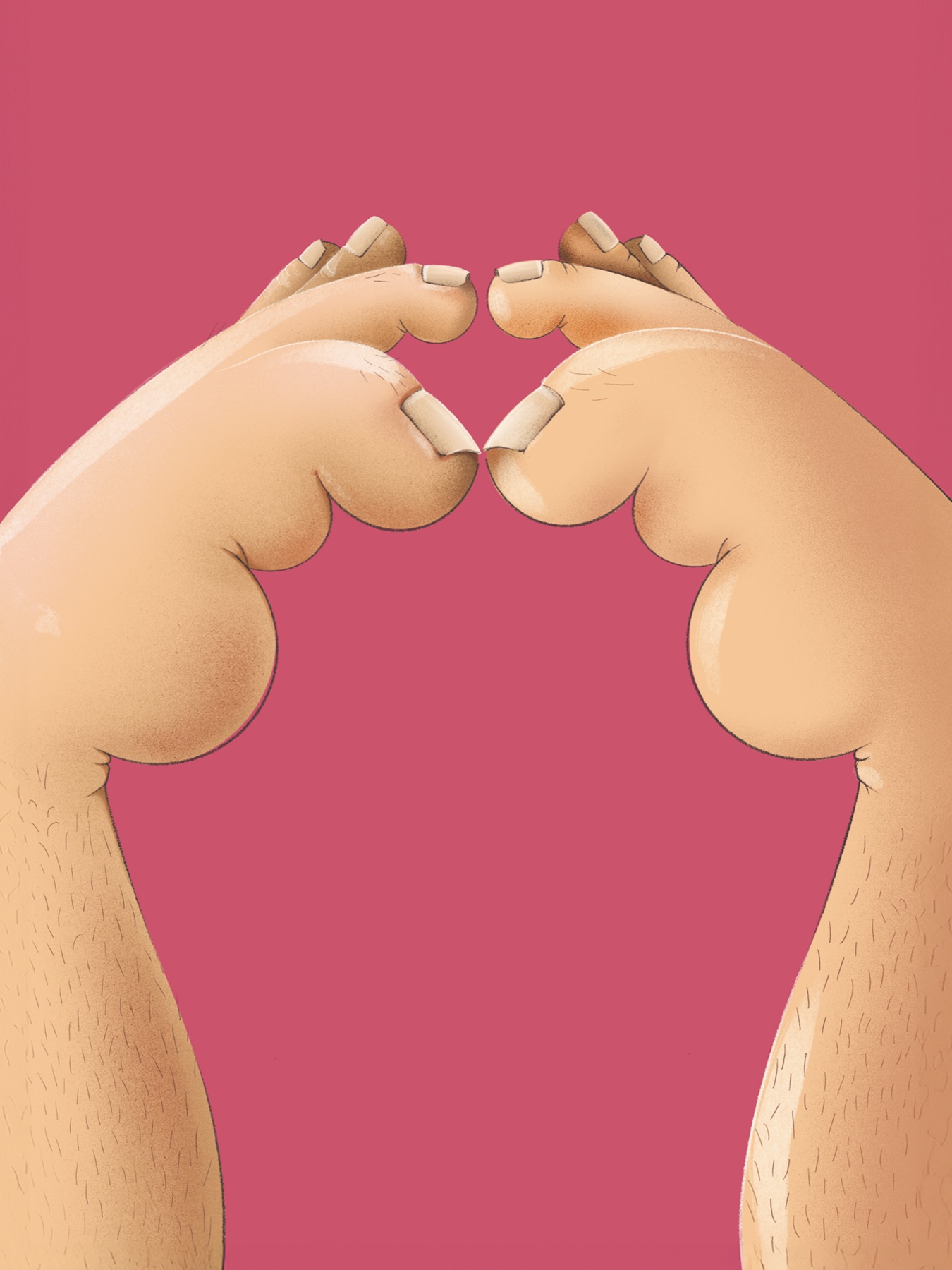 Two hairy feet arch towards each other on a pink background, their big toes touching like a kiss
